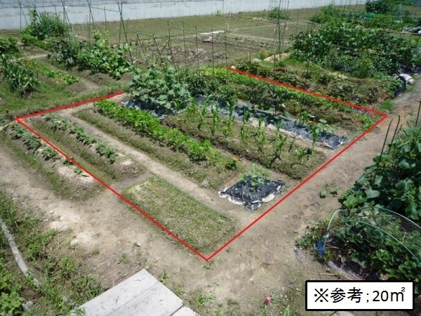 堺新堀町農園